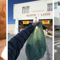 Alioto Lazio Fish Co