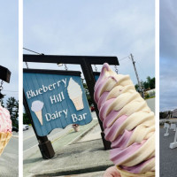 Blueberry Hill Dairy Bar