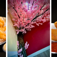 BOTAN Ramen n’ Teriyaki