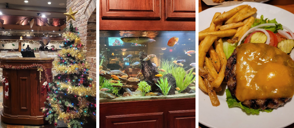 Cheddar's Scratch Kitchen - George Bush Hwy