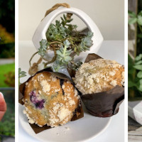 Copper Kettle Coffee Bar