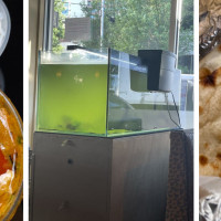 Dil Se Indian Cuisine