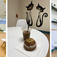 Feeline Good Cat Cafe