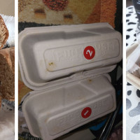 Firehouse Subs Crain Highway Retail Center