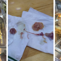 Flavas International