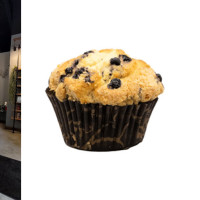 Foxtail Coffee - Horizon West