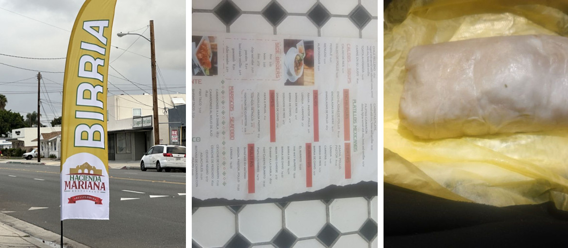 Hacienda Mariana Bellflower