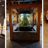 Hiro Japanese Steakhouse