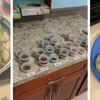 Hot Pot Heaven Kailua