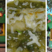 Iguana Mia of Cape Coral