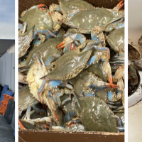 K & C Food Wholesale