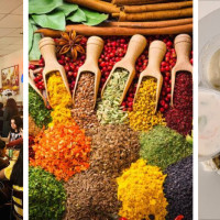 Kamal Palace North Arlington