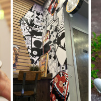 Left Wing - San Jose