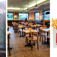 Lion's Choice - Hanley Road