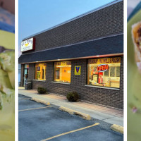 Lu and Ton's Wieners