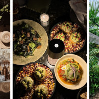 Margarita Concept Garden