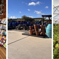 Mesquite Valley Growers Nursery
