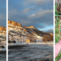 Miner's Trading Post