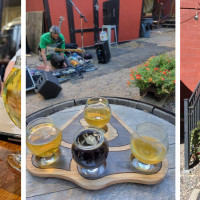 Mountain Toad Brewing