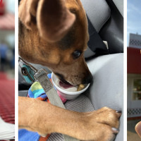 Nathan’s Dairy Bar