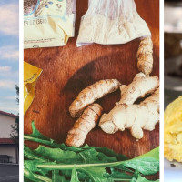 Orchard Nutrition Center