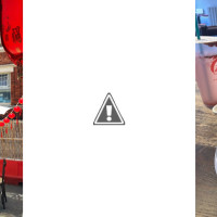 Oriental Dragon Restaurant