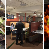 Rangoli Indian Cuisine