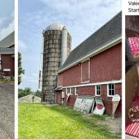 Red Barn Creamery and Farm Stand