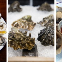 Rustic House Oyster Bar and Grill- San Carlos