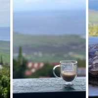 Sacred Grounds Coffee Farm