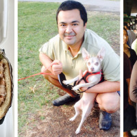 SactoMoFo Corporate Catering