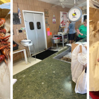 Schaefer & Rusich Seafood