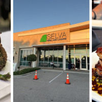 Selva University Town Center