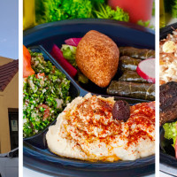 Shawarma Mediterranean Grill