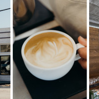 She Brews Coffee Roasters