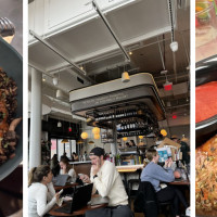 Shy Bird - South Boston