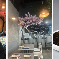 Sokai Sushi Bar Hallandale