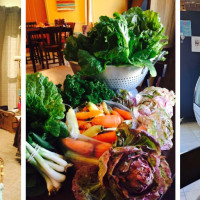 Sun Belly Cafe & Catering