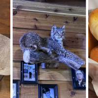 Texas Roadhouse - State Hwy 121