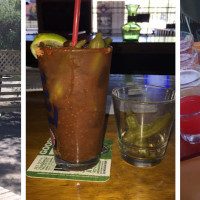 The Hidden TreeHouse