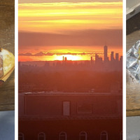 The Naked Bird - Montclair