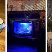 The Starlight Tavern