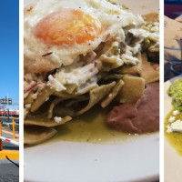 Toks 64820 Monterrey