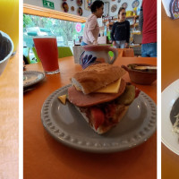 Veggicano plant based