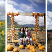 Waimānalo Country Farms