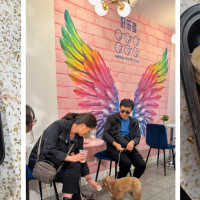 好乐多健康俱乐部 Wong Nutrition