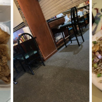 Young's Garden Chinese Restaurant